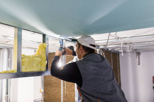 Best Residential Insulation in Ingram, TX