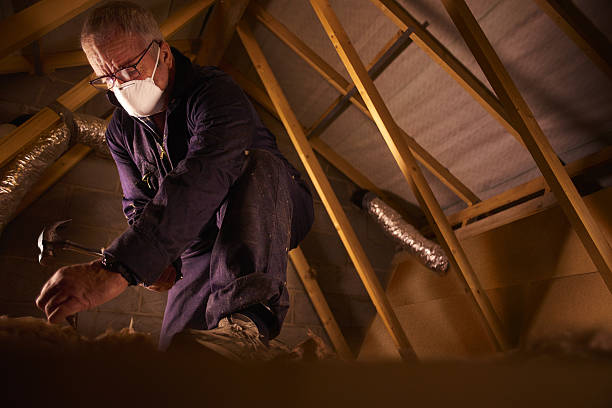 Best Cellulose Insulation in Ingram, TX