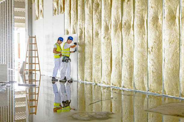 Best Spray Foam Insulation in Ingram, TX
